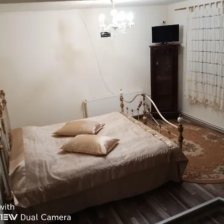 Casa Cu Farfurii 3* Sinaia